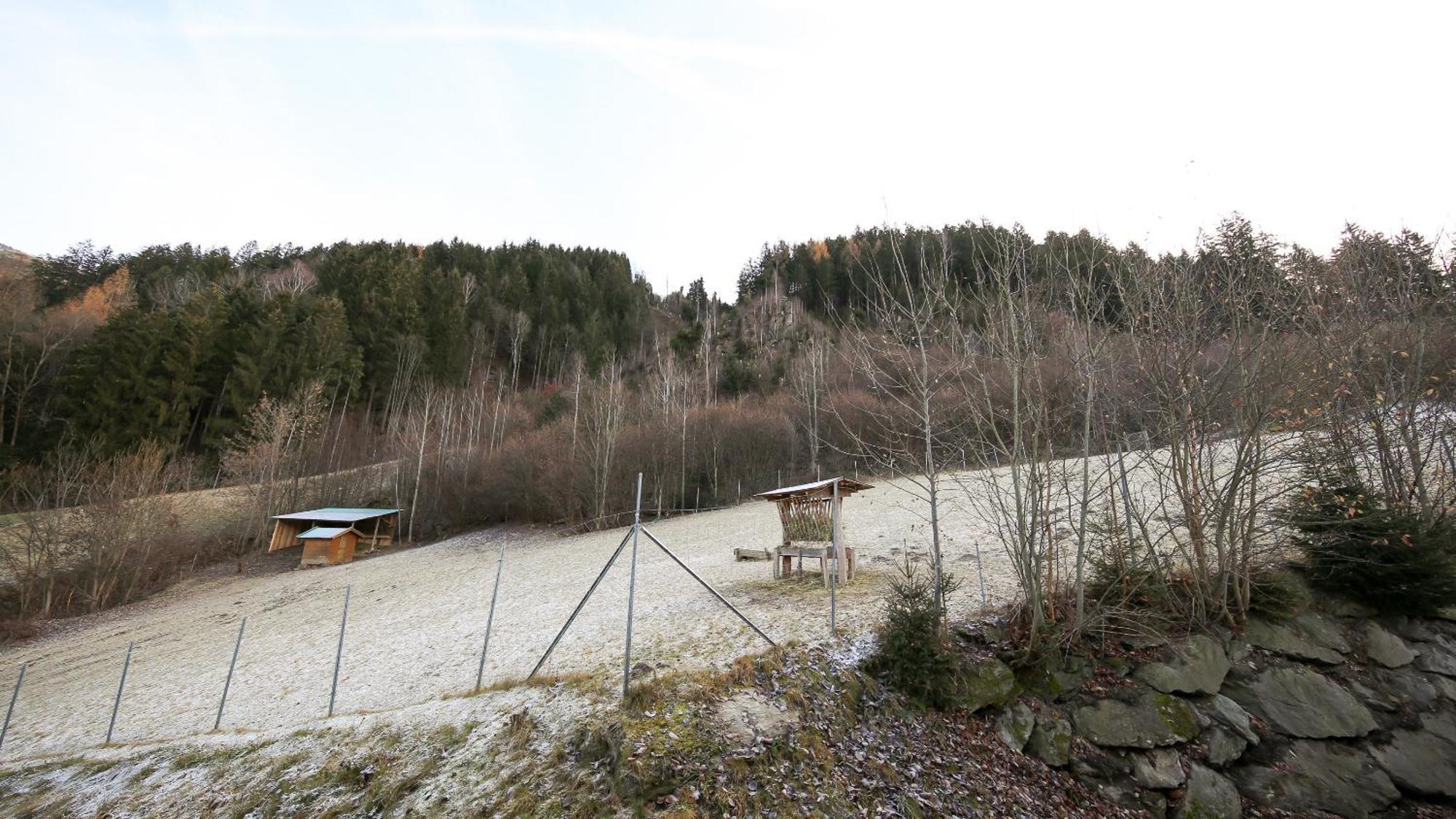 Apartamento Hochfeldhof Zell am Ziller Habitación foto